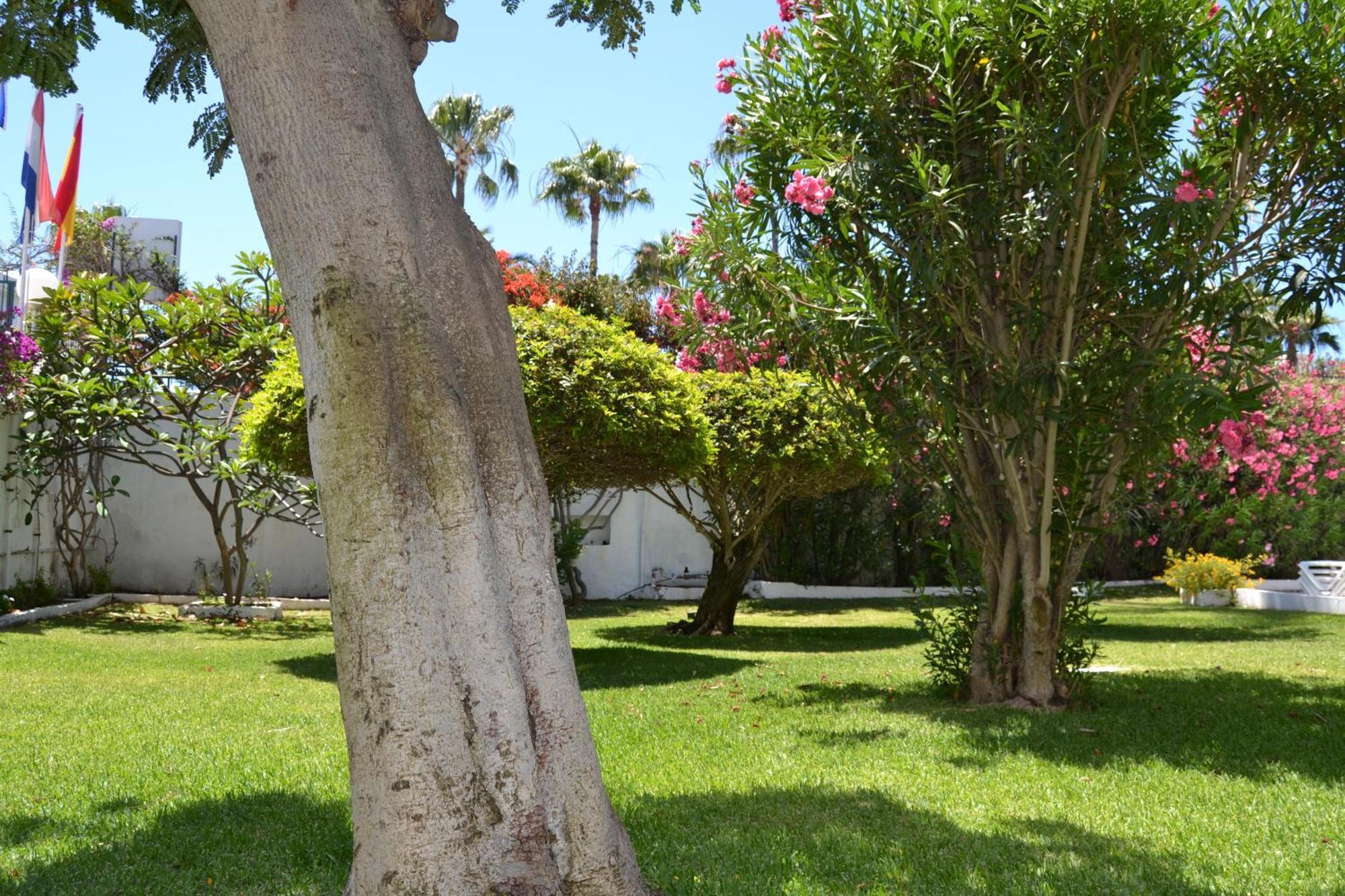Apartamentos Don Quijote Playa del Inglés Zewnętrze zdjęcie