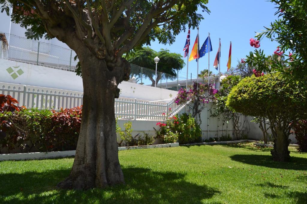 Apartamentos Don Quijote Playa del Inglés Zewnętrze zdjęcie